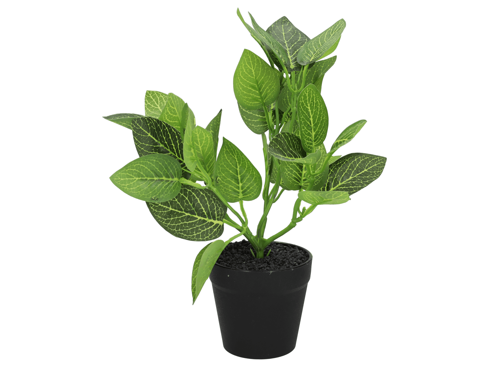 Plante artificielle - 26 cm - Wibra
